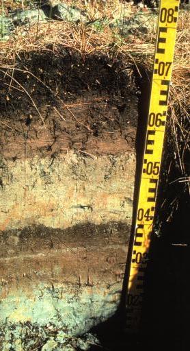 A trench cut to a peat layer